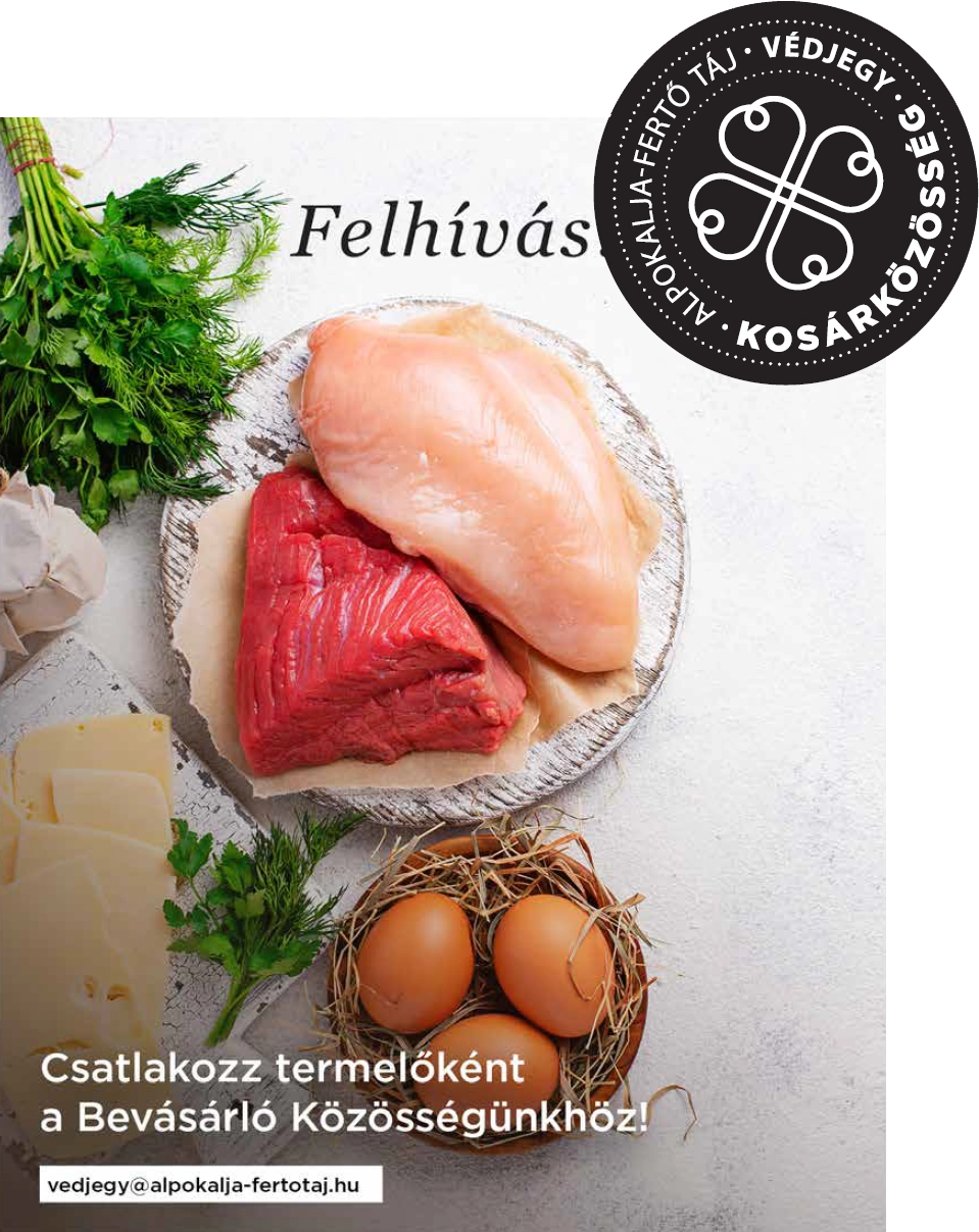 Felhívás